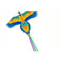 Létající drak Papoušek 250 x 140 cm