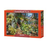 Puzzle 2000 ks Kouzelný les