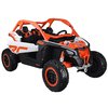 Buggy Can-am2.jpg