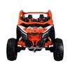 Buggy Can-am3.jpg