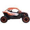 Buggy Can-am4.jpg