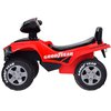 Quad Goodyear3.jpg