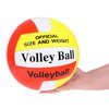Volleyball3.jpg