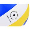 Volleyball4.jpg