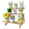 Garden Succulent.jpg