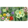 MOR-034004-1.webp