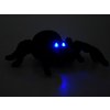 RC pavouk tarantule 3.jpg