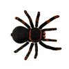 RC pavouk tarantule 5.jpg