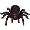 RC pavouk tarantule 6.jpg