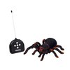 RC pavouk tarantule 7.jpg