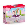 Schleich Horse Club Sofias Beauties 42617.jpg