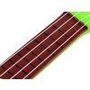 kytara motiv kiwi 1.jpg